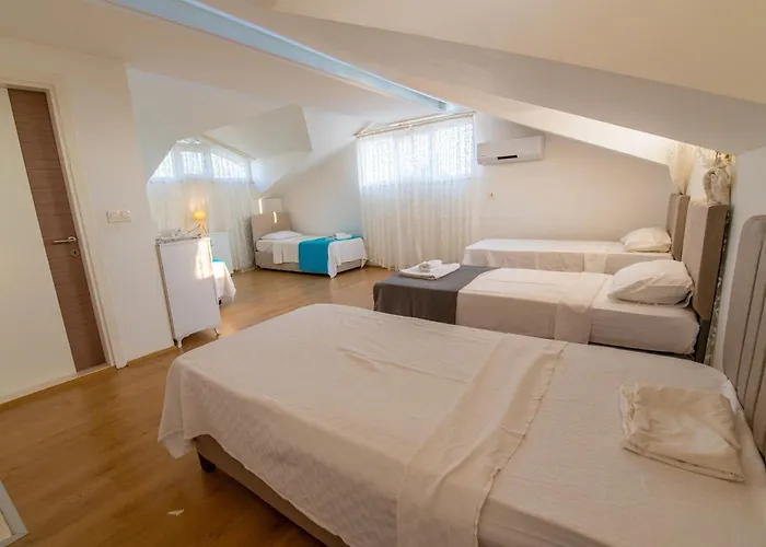 Bagceciler 3 *